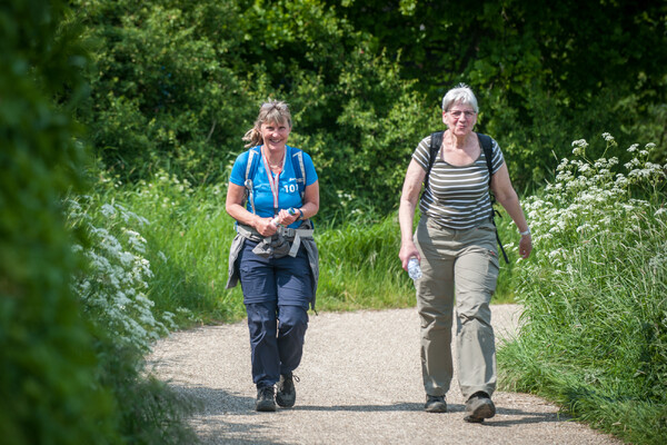 De leukste wandelroutes in het Land van Cuijk