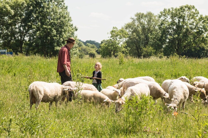 Unesco <br>De Maasheggen