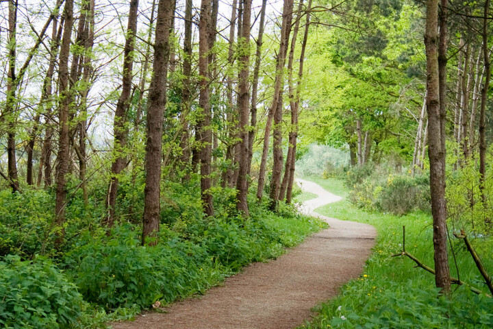 Verborgen Raamvallei